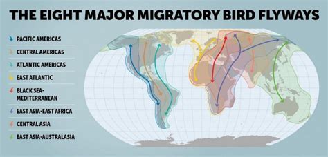 Climate Change and Bird Migration - Vermont Institute of Natural Science