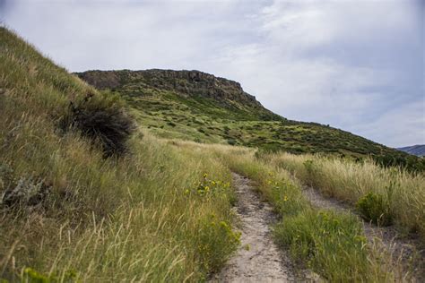 Hiking Path Free Stock Photo - Public Domain Pictures