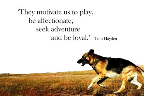 Dog Quotes/Sayings