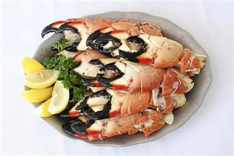 11 Best Seafood Restaurants in Miami to Try Right Now