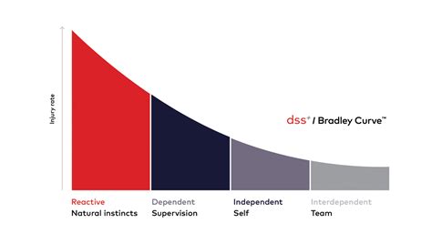 dss+ Bradley Curve | dss+ Operations Consulting