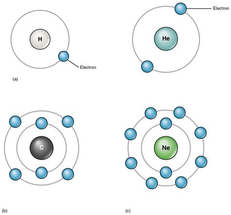 Elements and Atoms: The Building Blocks of Matter | Anatomy and ...