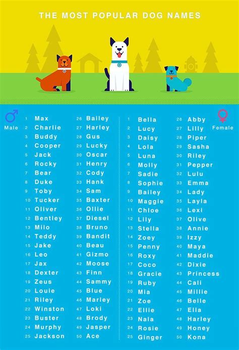 Pin by Payten Torrez on Pet names in 2020 | Cute names for dogs, Dog names, Brown dog names