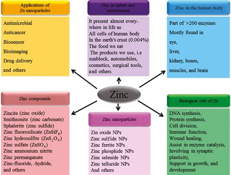 Elemental zinc to zinc nanoparticles: is ZnO NPs crucial for life ...