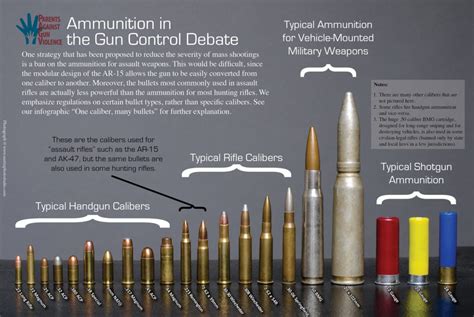 Basic Bullet EXPLAINED: Sizes, Calibers, and Types - {MUST READ}