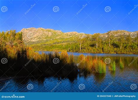 Tullah Tasmania Stock Photos - Free & Royalty-Free Stock Photos from Dreamstime