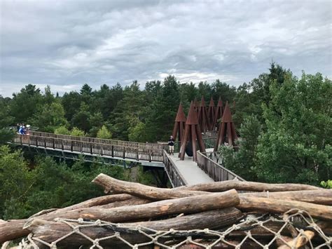 How to Plan The Perfect Visit to the Wild Center in Tupper Lake, NY - Jen on a Jet Plane