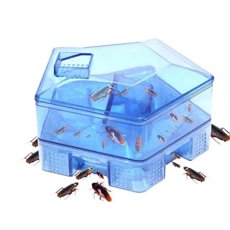 Cockroach Traps Box Cockroach Bug Roach Catcher Killer Bait Traps ...