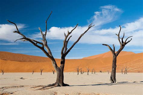 Luderitz - Namibia - picture gallery