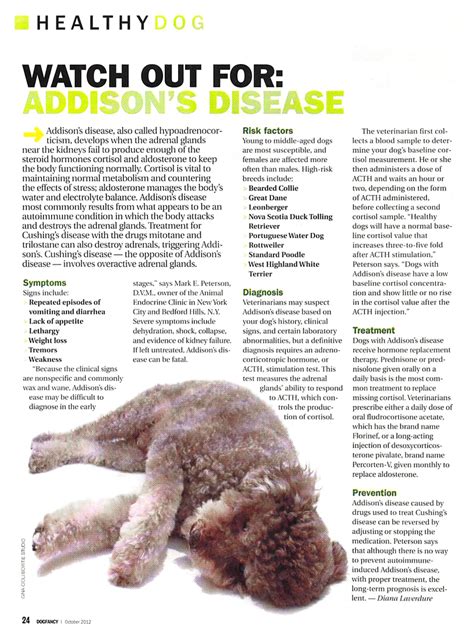 Insights into Veterinary Endocrinology: Dr. Peterson Quoted in Dog Fancy Article on Addison's ...