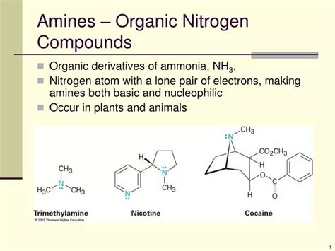 PPT - Amines – Organic Nitrogen Compounds PowerPoint Presentation - ID:1992395