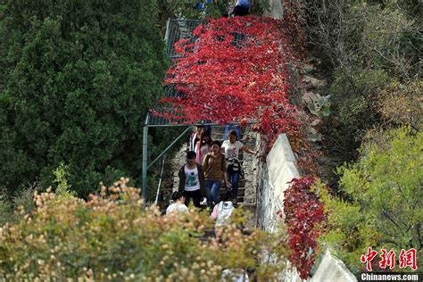 Fragrant Hills Red Leaves Festival opens - China.org.cn