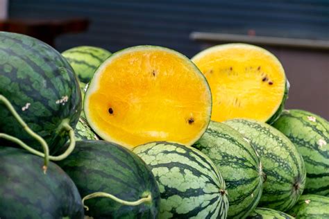 Yellow Watermelons, One Of Nature's Sweetest Wonders (Literally And ...