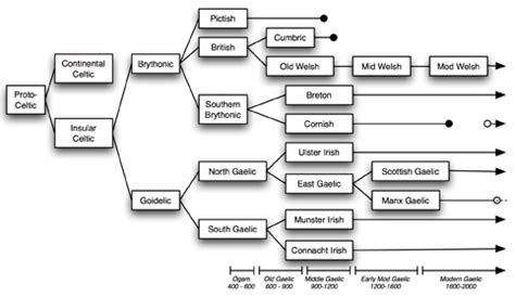 Gaelic in Scotland | CELTIC STUDIES