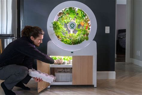 OGarden Smart: The perfect indoor gardening system