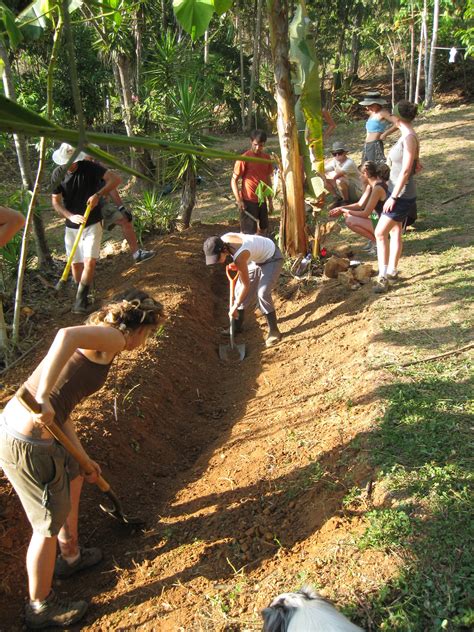 #PERMACULTURE DESIGN - A swale is a ditch on contour with the land. For ...