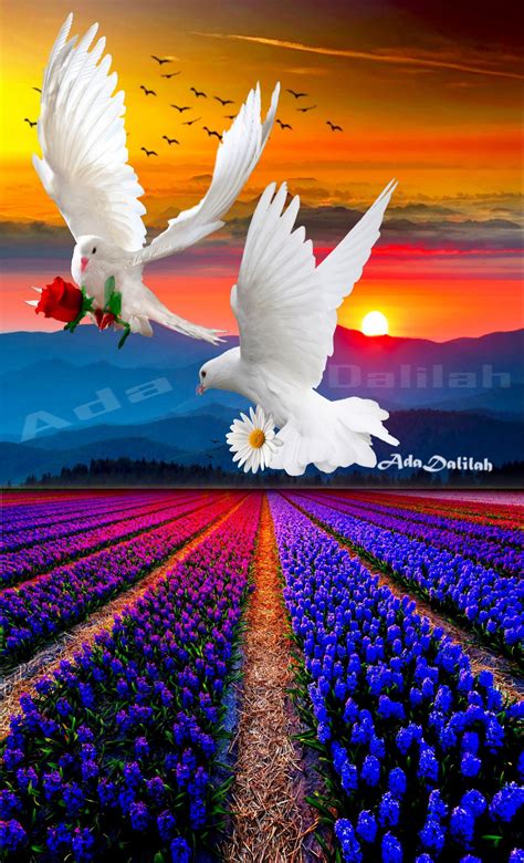 Wallpaper Flowers And Birds