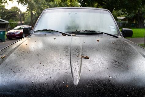 Why Austin heat leads to more bug poop on your car and how to stop it