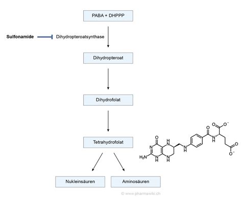 PharmaWiki - Sulfonamide