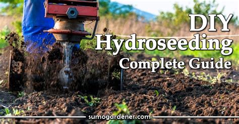 DIY Hydroseeding | Complete Guide - Sumo Gardener