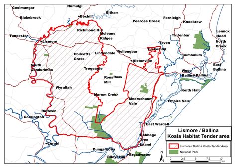 Koala Habitat Conservation Tender in Lismore and Ballina area now closed | BCT