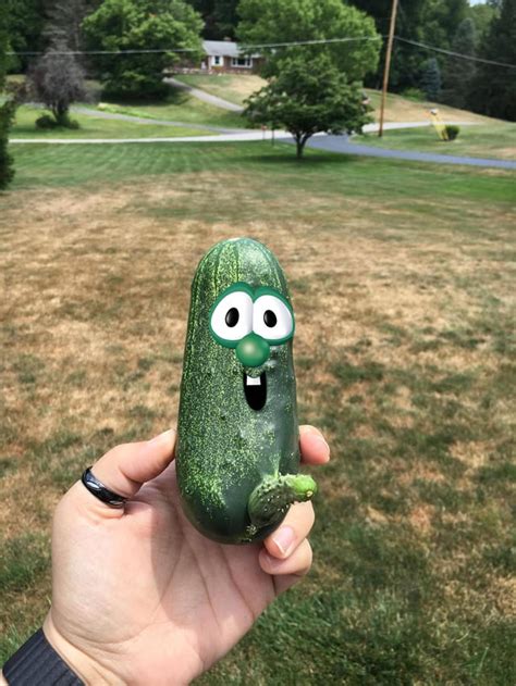 Picked this cucumber this morning. Then I added the face. : r/funny