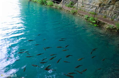 Plitvice lakes - A land of Falling lakes