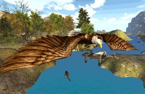 Eagle Simulator 3D (APK) - Review & Download