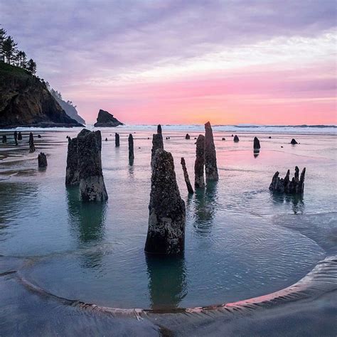 Neskowin, Oregon, is home to one of the most fascinating ghosts forests in the nation, but it's ...