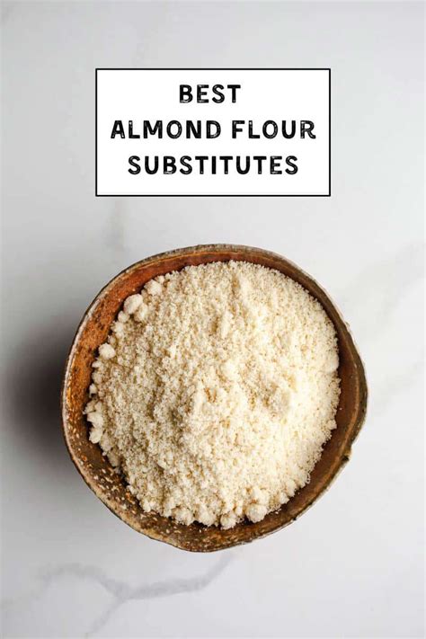 Best Almond Flour Substitutes