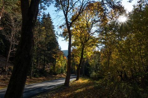 Postcard from the Thuringian Forest – Capturing the Seasons