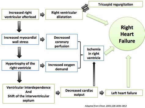 Right heart failure pathophysiology - wikidoc