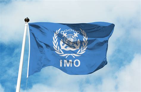 Why was the International Maritime Organization (IMO) created? - Prosertek