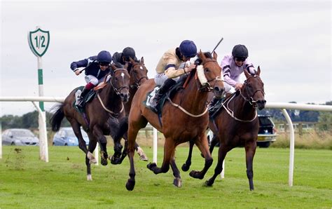 Horse Racing tips: A 13/2 play leads the way at Catterick today