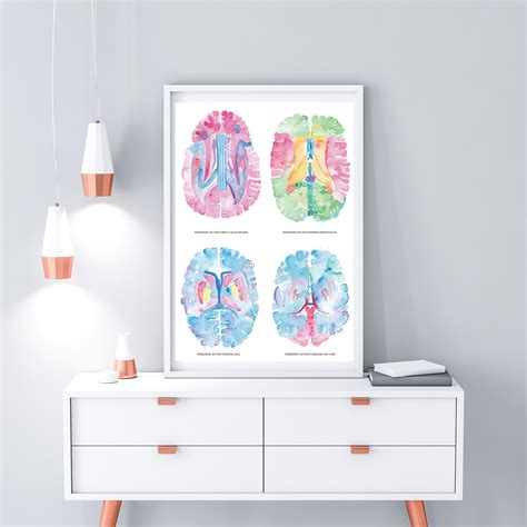 Brain Anatomy Art Neuroscience Art Neurology Art Neurology - Etsy