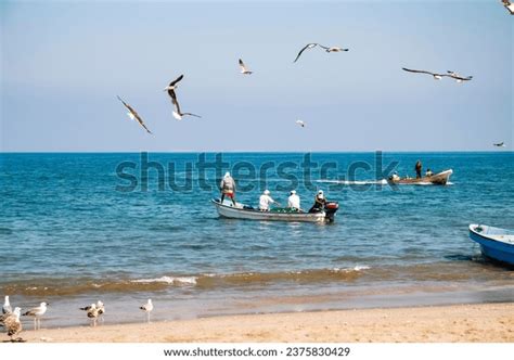 89 Barka Beach Royalty-Free Images, Stock Photos & Pictures | Shutterstock