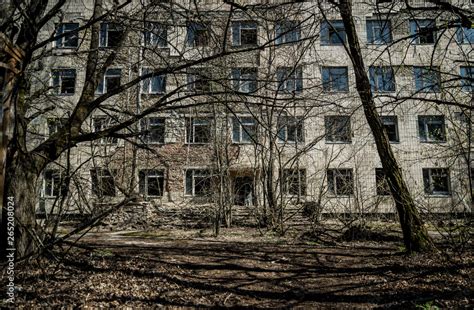 Street of the abandoned ghost town Pripyat. Overgrown trees and ...