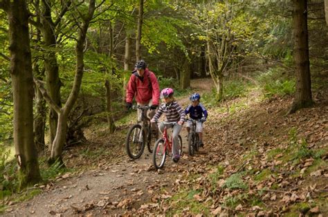 Cycling and mountain biking trails at Friston Forest | Forestry England