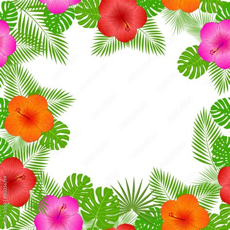 Hawaiian Wallpaper Aloha