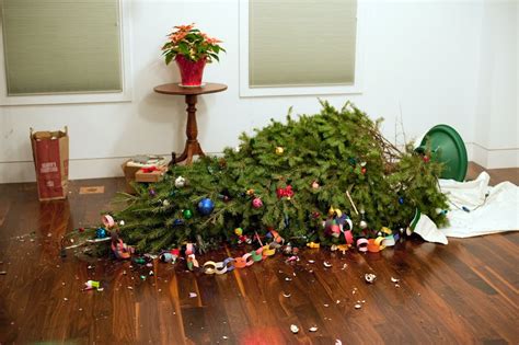 CHRISTMAS TREE FAILS | The Howler Monkey