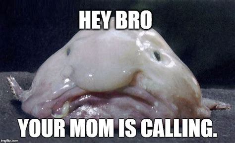 Your mom is a blob now... - Imgflip