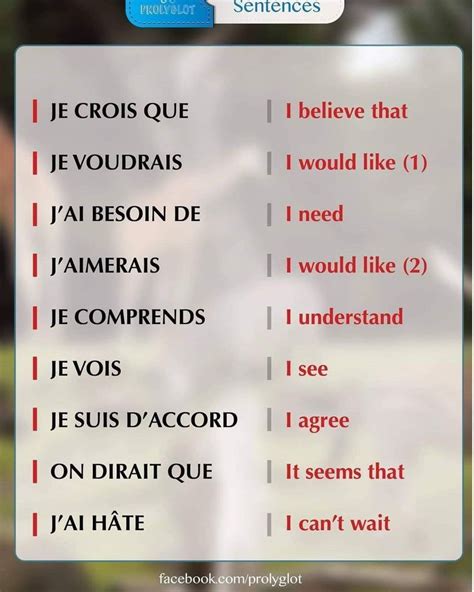 French sentence starters | Useful french phrases, Basic french words ...