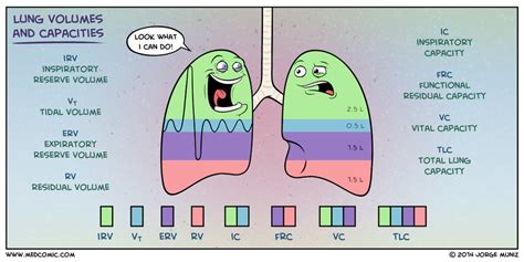 Medcomic on Twitter | Nursing school notes, Respiratory therapist ...