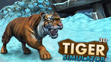 Tiger Simulator 3D Wildlife - Gameplay Android - YouTube