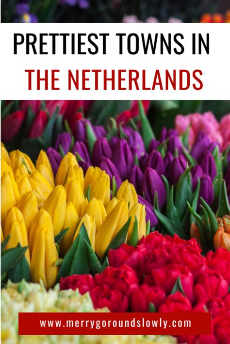 7 Day Netherlands Itinerary: One Week around the Country