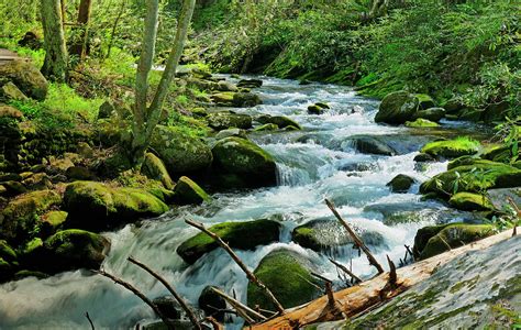 Mountain Brook Photograph by David Frankel - Fine Art America