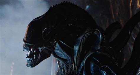 Vẻ đẹp nguyên bản của Xenomorph trong phim Alien - Một trong những con ...