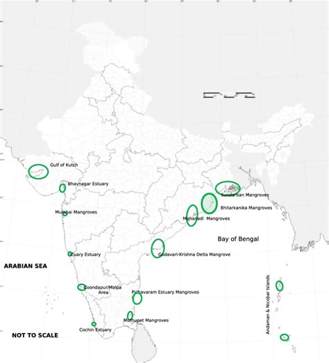 Map of India showing the Mangrove distribution (Source: Dasgupta and ...