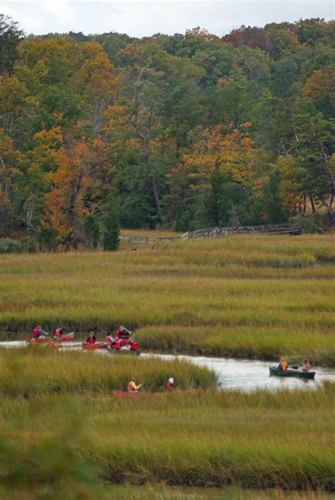 York River State Park, a Virginia State Park located near Gloucester ...