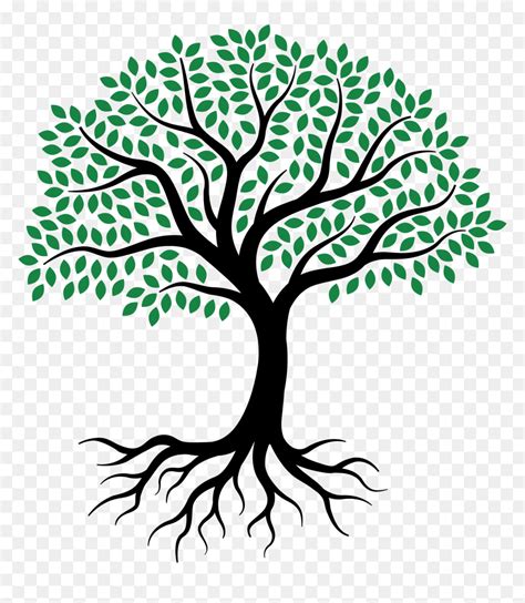 Tree Drawing Easy With Roots, HD Png Download - vhv